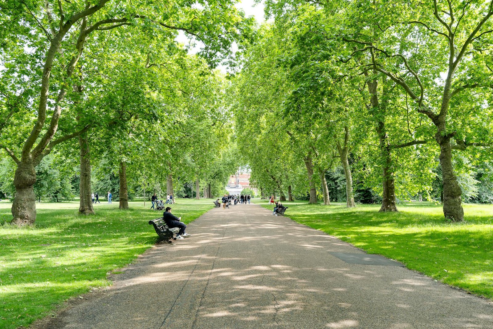 Serene Summer Day