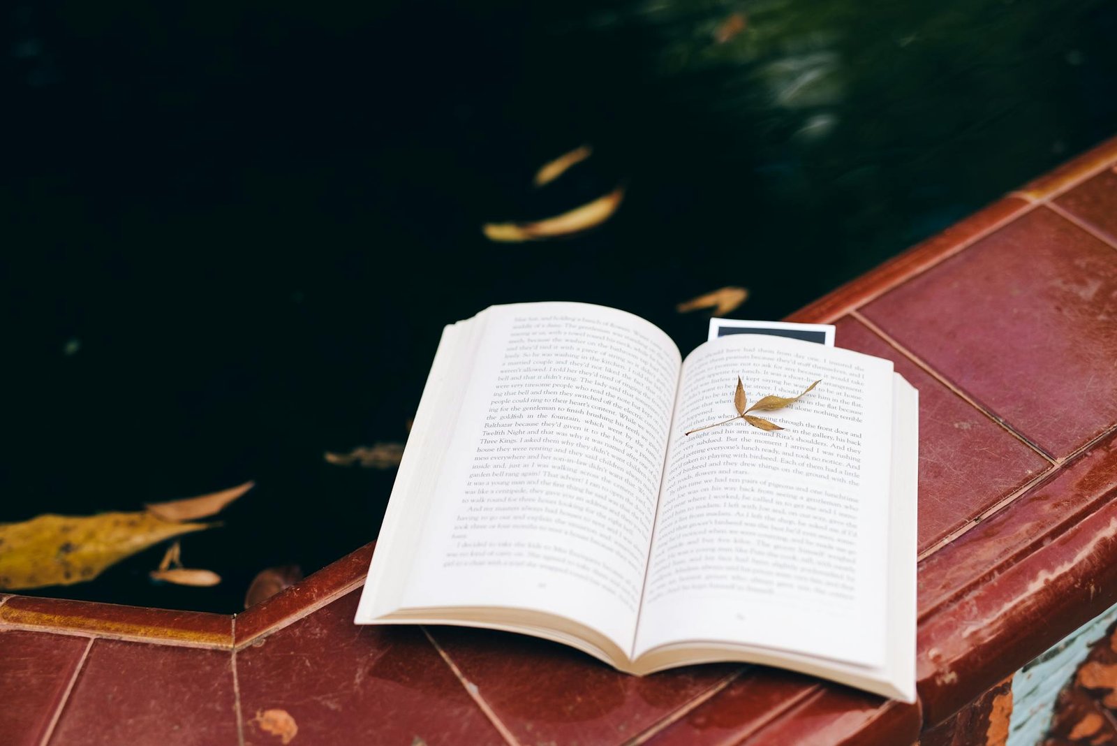 A Leaf on Top of an Open Book